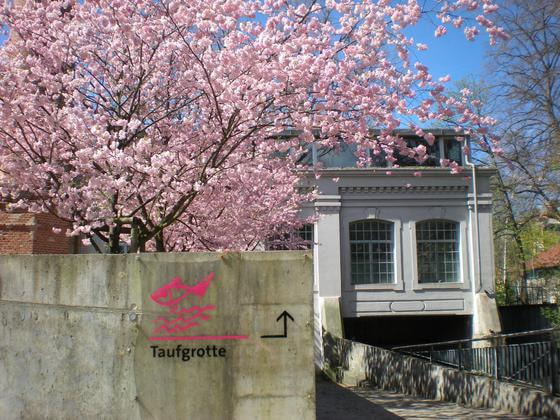 Weg zur Taufgrotte der Pfarre Marcel Callo im Frühling 