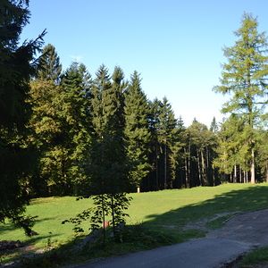 Spielwiese