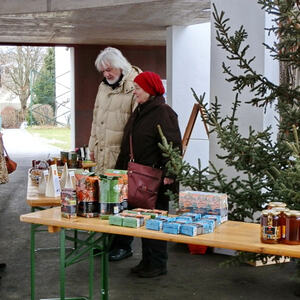 Projektvorstellung 