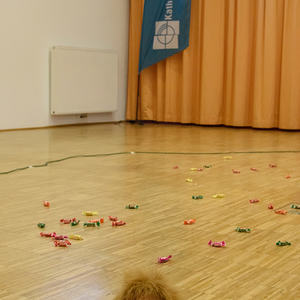 Dekanatsjungschar-Spiele-Nachmittag„Simsalabibel“ war das heurige Thema des Spielenachmittags im Pfarrheim Micheldorf. Gemeinsam mit der Simsalabibel haben die Kinder biblische Figuren wie Noah, Jakob, Josef, Samuel oder Daniel besucht und haben ein