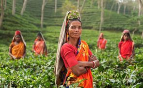 Indische Frauen