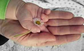 Kleine Hand in großer Hand